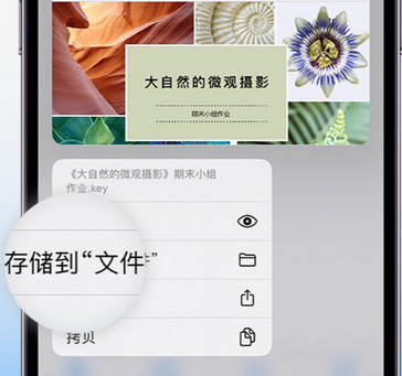 灵川apple维修中心分享iPhone文件应用中存储和找到下载文件