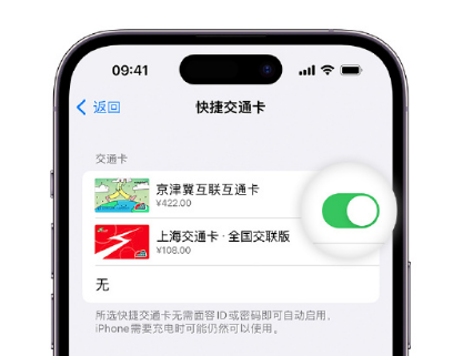 灵川apple维修点分享iPhone上更换Apple Pay快捷交通卡手绘卡面 