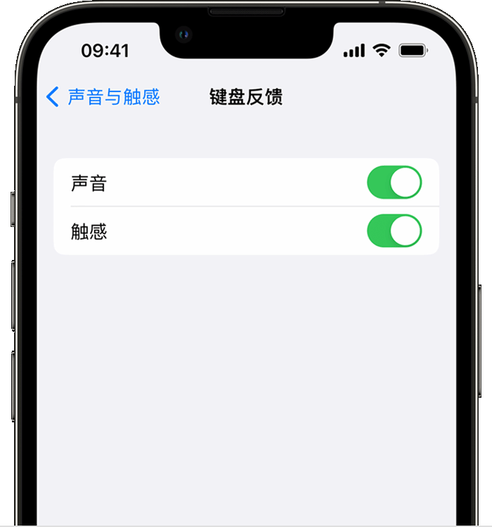 灵川苹果14维修店分享如何在 iPhone 14 机型中使用触感键盘 