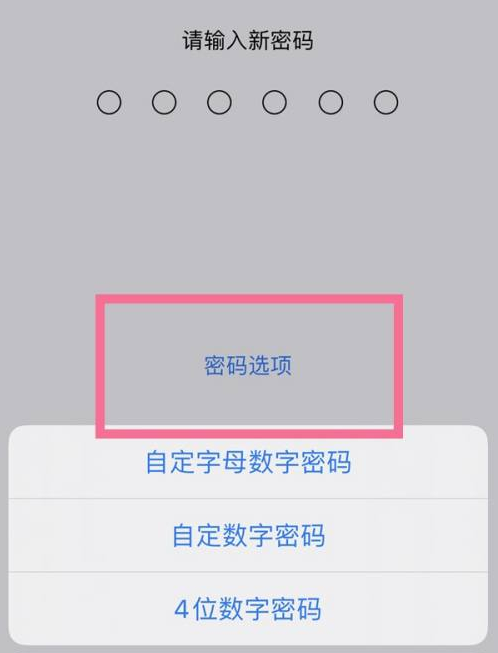 灵川苹果14维修分享iPhone 14plus设置密码的方法 