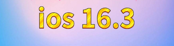 灵川苹果服务网点分享苹果iOS16.3升级反馈汇总 