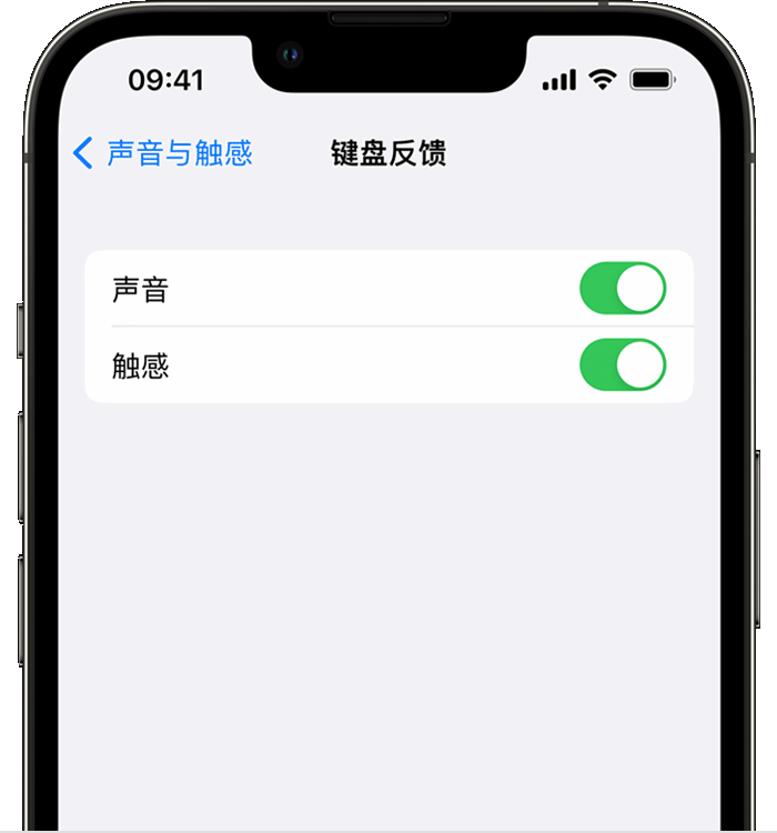 灵川苹果14维修分享iPhone 14 系列机型如何开启键盘声音或触感反馈 