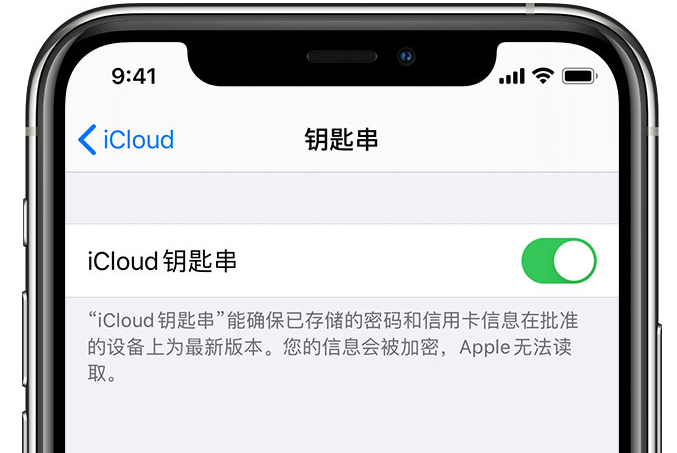 灵川苹果手机维修分享在 iPhone 上开启 iCloud 钥匙串之后会储存哪些信息 