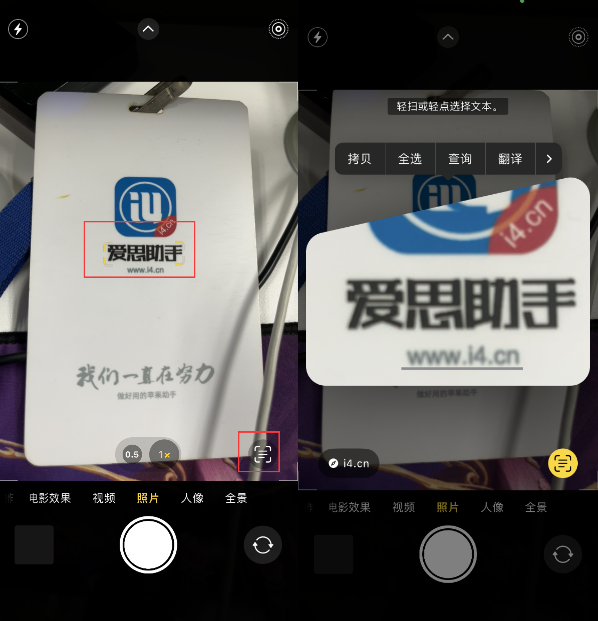 灵川苹果手机维修分享升级iOS 16后如何通过相机翻译文本 