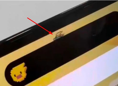 灵川苹果14维修分享iPhone 14 Pro Max灵动岛怎么养宠物 