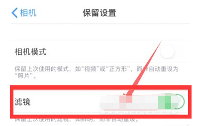 灵川苹果13维修分享iPhone13拍照有绿点是怎么回事 