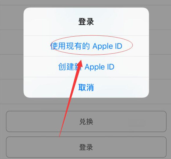 灵川苹果手机维修分享两台iPhone设备可以同时登录一个Apple ID吗 