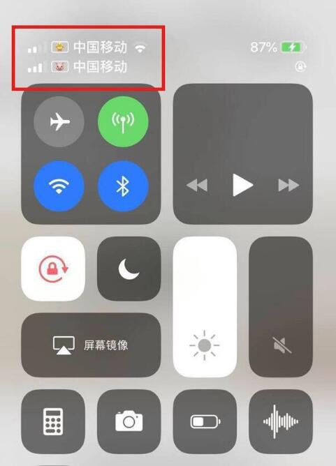 灵川苹果手机维修分享为 iPhone 12 双卡设置标签 